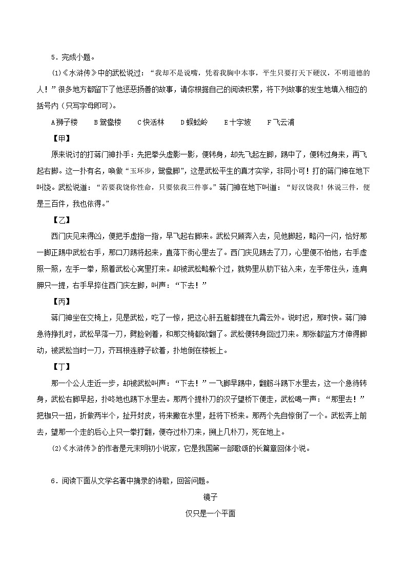 06 名著导读－2023-2024学年九年级语文上册知识（考点）梳理与能力训练02