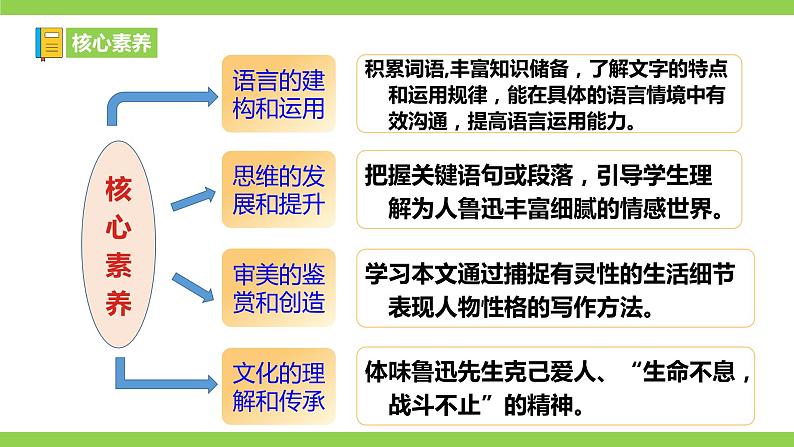 3【核心素养】部编版初中语文七年级下册3 回忆鲁迅先生（节选）课件+教案+导学案（师生版）+同步测试（含答案）04