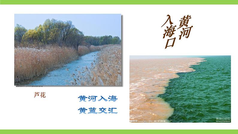 5【核心素养】部编版初中语文七年级下册5《黄河颂》 课件+教案+导学案（师生版）+同步测试（含答案）08