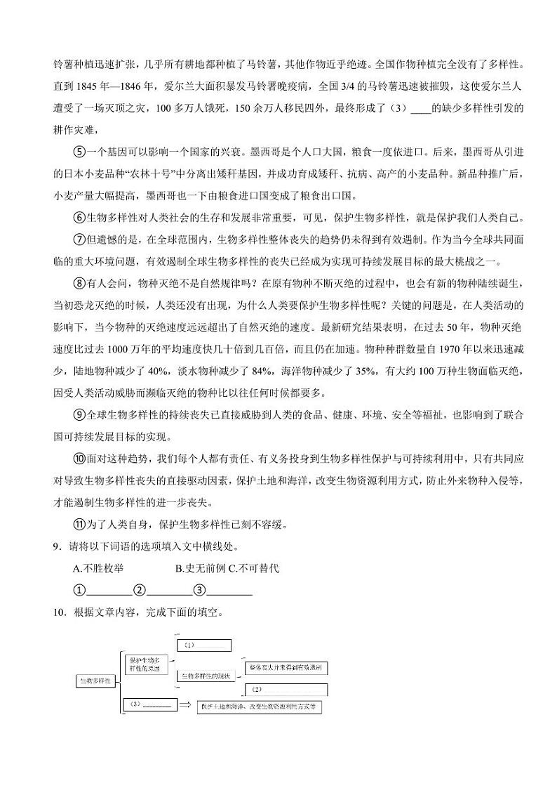 上海市嘉定区九年级上学期语文期末考试试卷附参考答案第3页