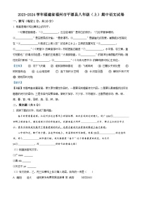 福建省福州市平潭县2023-2024学年八年级上学期期中语文试题（解析版）