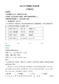 湖南省邵阳市武冈市2023-2024学年八年级上学期期中语文试题（解析版）