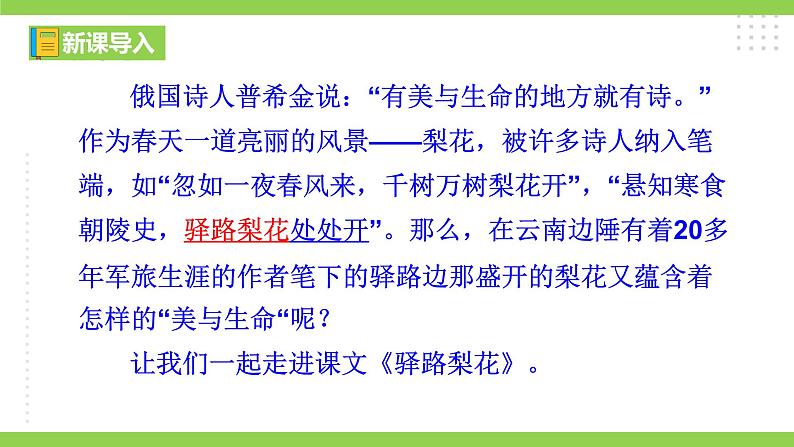 15【核心素养】部编版初中语文七年级下册 15《 驿路梨花》》课件+教案+导学案（师生版）+同步测试（含答案）01