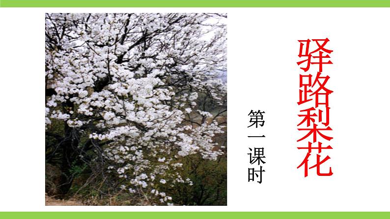 15【核心素养】部编版初中语文七年级下册 15《 驿路梨花》》课件+教案+导学案（师生版）+同步测试（含答案）05