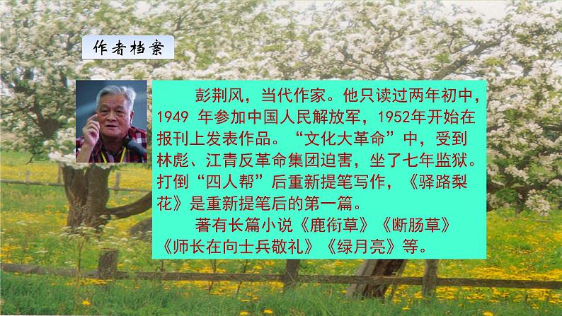 15【核心素养】部编版初中语文七年级下册 15《 驿路梨花》》课件+教案+导学案（师生版）+同步测试（含答案）08