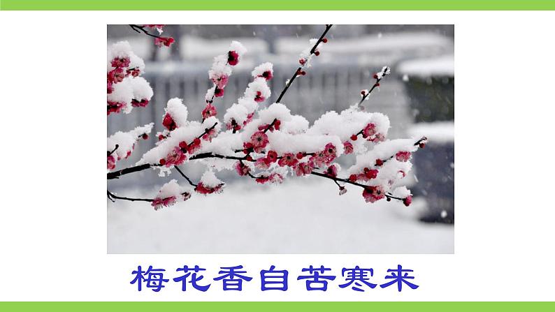 18【核心素养】部编版初中语文七年级下册 18《 紫藤萝瀑布》课件+教案+导学案（师生版）+同步测试（含答案）04