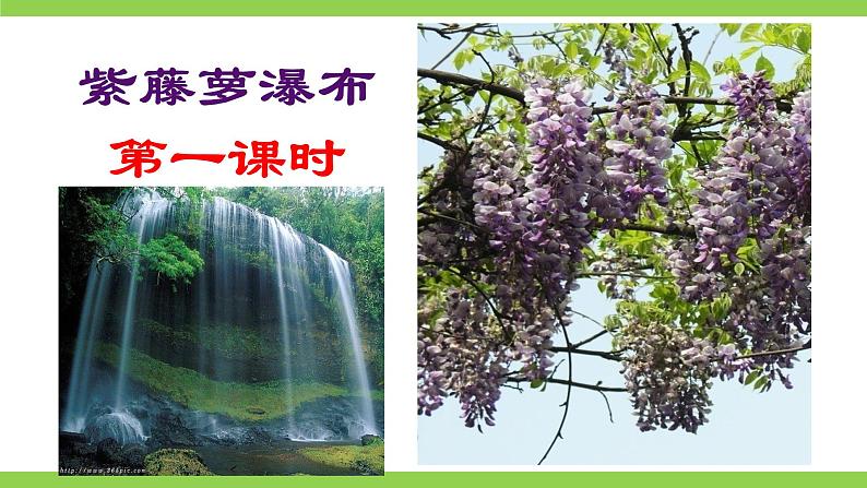 18【核心素养】部编版初中语文七年级下册 18《 紫藤萝瀑布》课件+教案+导学案（师生版）+同步测试（含答案）08