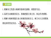 19【核心素养】部编版初中语文七年级下册 19《 一棵小桃树》课件+教案+导学案（师生版）+同步测试（含答案）