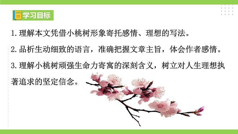19【核心素养】部编版初中语文七年级下册 19《 一棵小桃树》课件+教案+导学案（师生版）+同步测试（含答案）04
