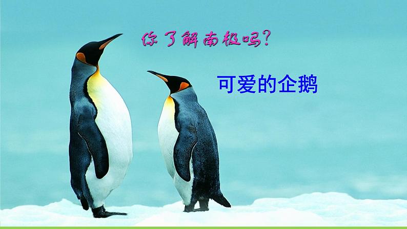 22【核心素养】部编版初中语文七年级下册 22《 伟大的悲剧》课件+教案+导学案（师生版）+同步测试（含答案）02