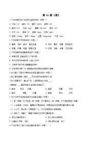 初中语文人教部编版七年级上册猫复习练习题