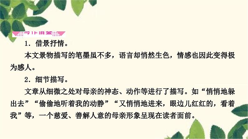 部编版语文七年级上册 5　秋天的怀念 课件07
