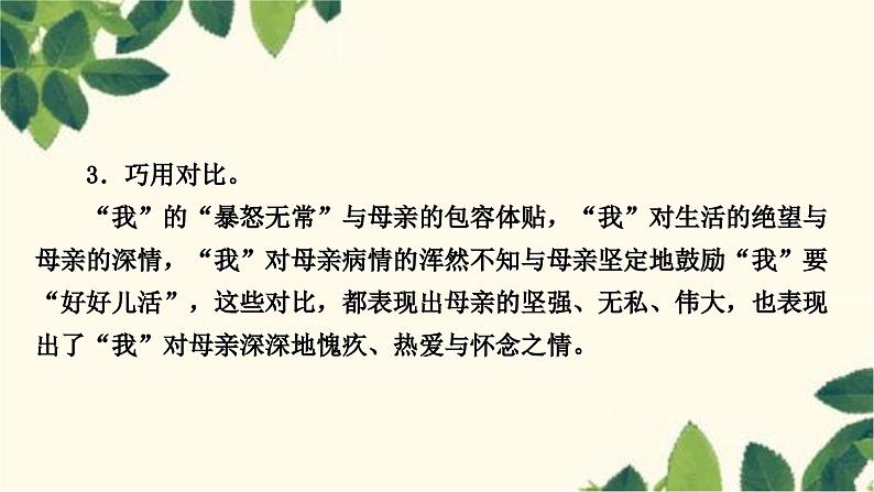 部编版语文七年级上册 5　秋天的怀念 课件08