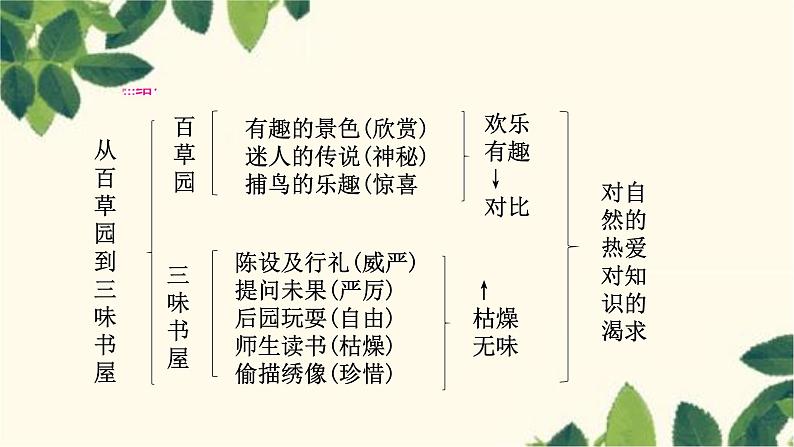 部编版语文七年级上册 9　 从百草园到三味书屋 课件05