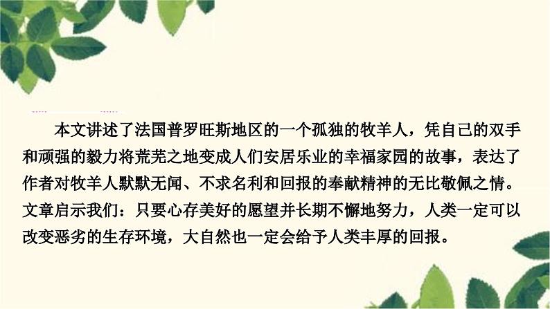 部编版语文七年级上册 13　植树的牧羊人 课件03