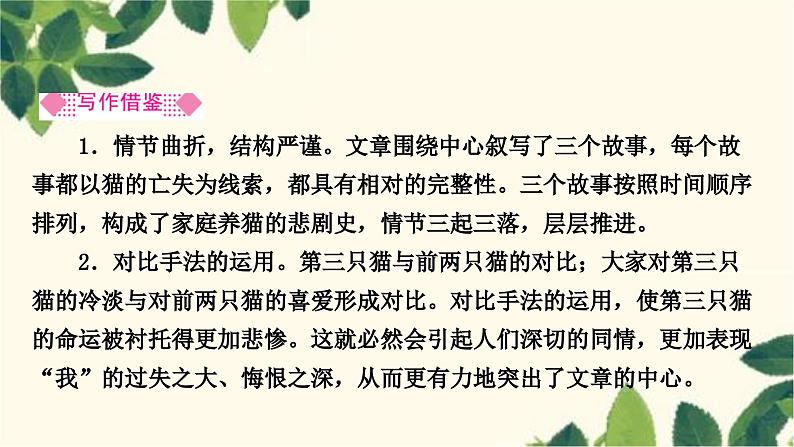 部编版语文七年级上册 16　猫 课件07