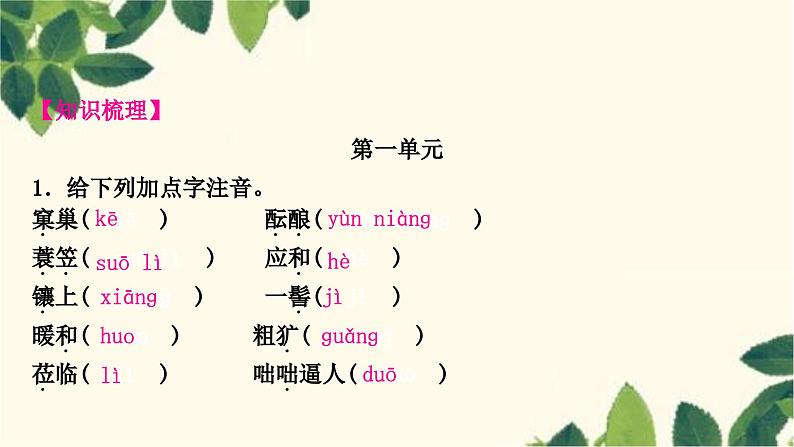部编版语文七年级上册 1-期末复习专题一　字音、字形 课件02