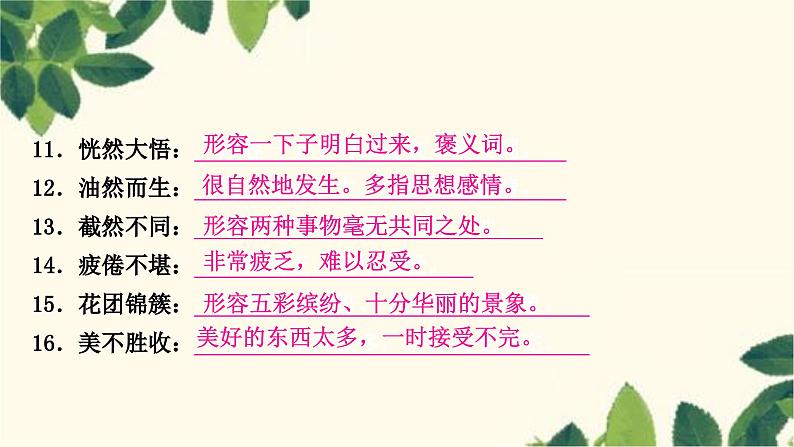 部编版语文七年级上册 2-期末复习专题二　词语(成语)的理解与运用 课件04