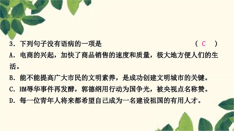 部编版语文七年级上册 3-期末复习专题三　病句的辨析与修改 课件06