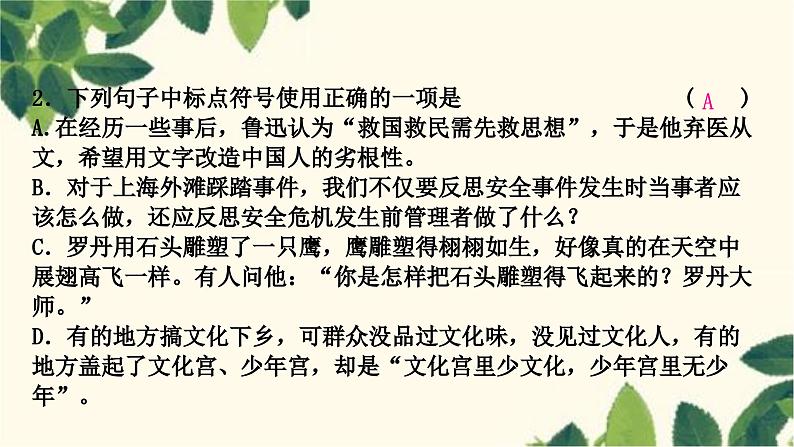 部编版语文七年级上册 4-期末复习专题四　标点符号、语法 课件04