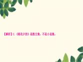 部编版语文七年级上册 6-期末复习专题六　文学文化常识与名著阅读 课件
