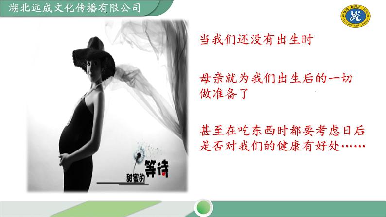 部编版语文七年级下册 孝亲敬老，从我做起课件第7页