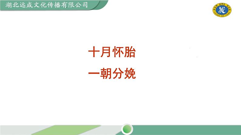 部编版语文七年级下册 孝亲敬老，从我做起课件第8页