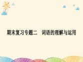 部编版语文七年级下册 2-期末复习专题二　词语的理解与运用 课件