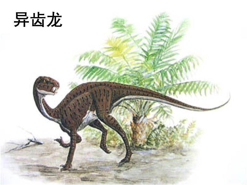 八下第二单元阿西莫夫短文两篇同步课件02