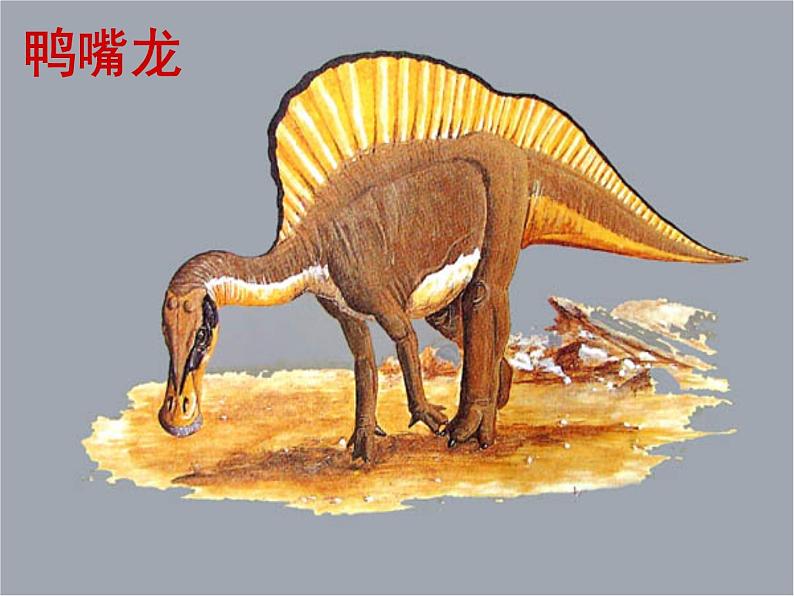 八下第二单元阿西莫夫短文两篇同步课件04