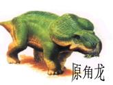 八下第二单元阿西莫夫短文两篇同步课件