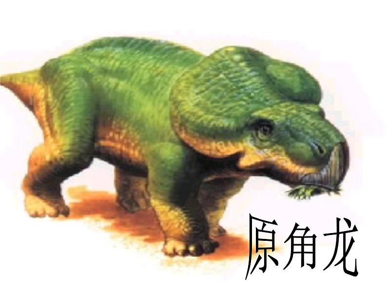 八下第二单元阿西莫夫短文两篇同步课件05