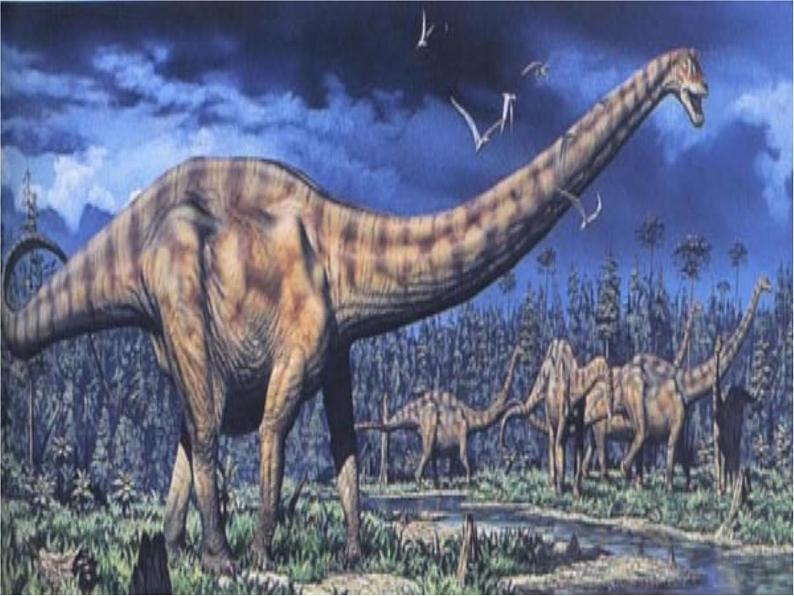 八下第二单元阿西莫夫短文两篇同步课件07