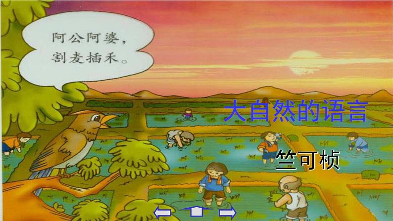 八下第二单元大自然的语言同步课件01