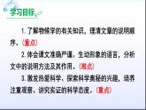 八下第二单元大自然的语言同步课件