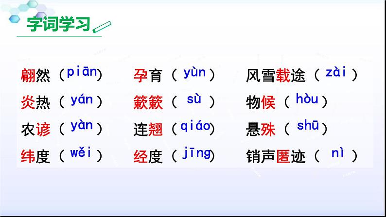 八下第二单元大自然的语言同步课件07