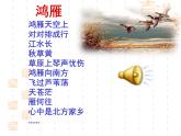 八下第二单元大雁归来同步课件