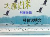 八下第二单元大雁归来同步课件