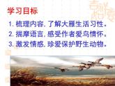 八下第二单元大雁归来同步课件