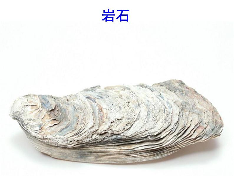 八下第二单元时间的脚印同步课件03