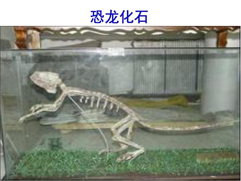 八下第二单元时间的脚印同步课件05