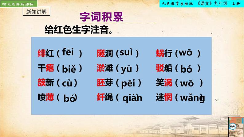 第1课《祖国啊，我亲爱的祖国》课件2022-2023学年统编版语文九年级下册第6页