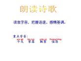 第24课《过零丁洋》课件2022-2023学年统编版语文九年级下册