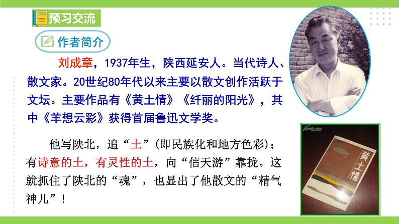 3【核心素养】部编版初中语文八年级下册3《安塞腰鼓》 课件+教案+导学案（师生版）+同步测试（含答案）08