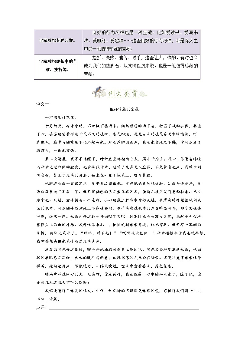 第8讲 作文写作2 值得珍藏的宝藏-2023-2024学年七年级语文上册专题复习讲义（统编版）03