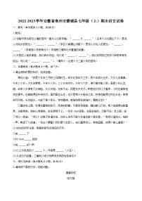 2022-2023学年安徽省亳州市蒙城县七年级（上）期末语文试卷（含答案解析）