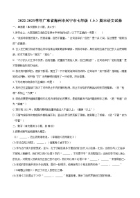 2022-2023学年广东省梅州市兴宁市七年级（上）期末语文试卷（含答案解析）