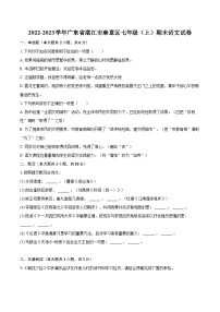 2022-2023学年广东省湛江市麻章区七年级（上）期末语文试卷（含答案解析）