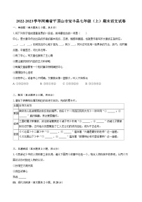 2022-2023学年河南省平顶山市宝丰县七年级（上）期末语文试卷（含答案解析）