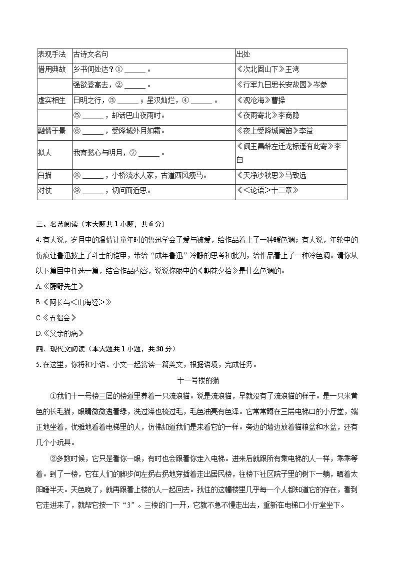 2022-2023学年浙江省绍兴市嵊州市七年级（上）期末语文试卷（含答案解析）02